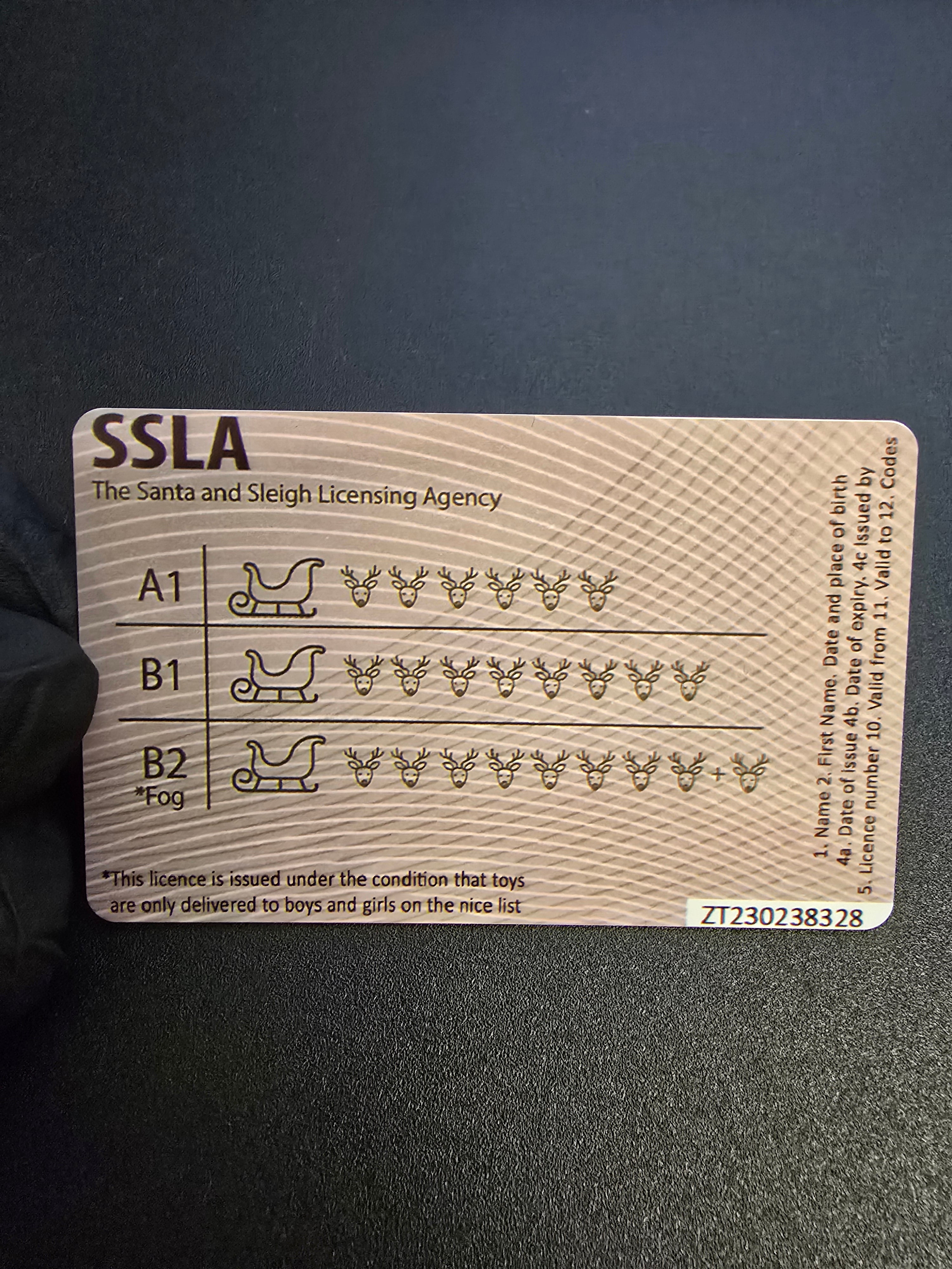 Santa Driving Licence Plastic