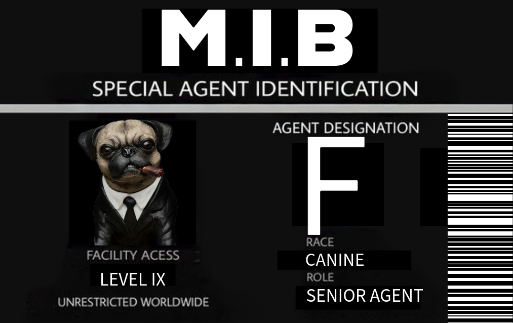 AGENT F - MEN IN BLACK -  NOVELTY ID CARD