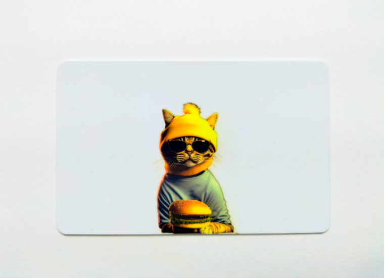 Cat With Burger - NOVELTY ID CARD